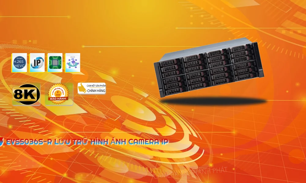 Dahua EVS5036S-R  Bộ Lưu trữ hình ảnh camera IP