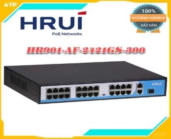 Lắp đặt camera tân phú Switch 24 công PoE HRUI HR901-AF-2421GS-300
